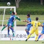 23SGK_8919____のコピー