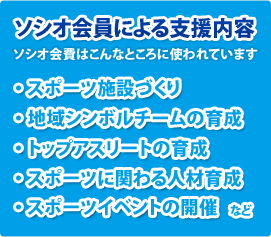 ソシオ会員による支援内容